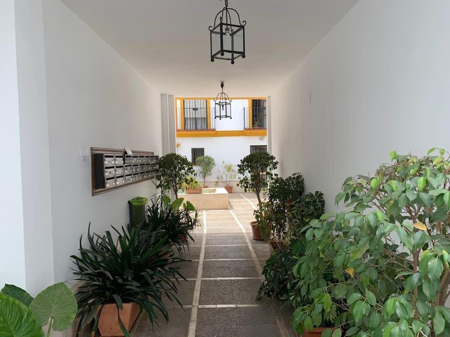Pilsev Center Apartment Sewilla Zewnętrze zdjęcie